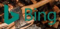 Bing настаивает – отклонять ссылки нужно