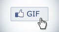 В ленте новостей Facebook появились анимированные GIF-изображения