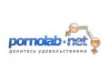 Вслед за Pornhub Роскомнадзор заблокировал и Pornlab