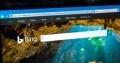 Сколько факторов ранжирования у Bing?