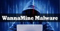 Вирус WannaCry превратился в тайного майнера криптовалюты WannaMine 