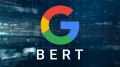 Google: алгоритм BERT не имеет ничего общего с индексацией